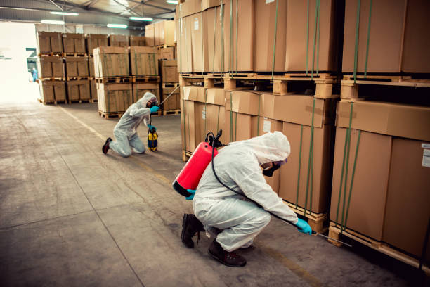 Best Best Pest Control Companies  in Henning, TN