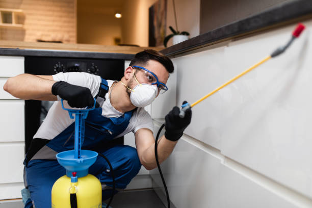 Best Pest Prevention Services  in Henning, TN