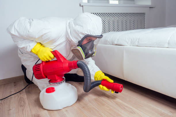 Best Flea Control Services  in Henning, TN