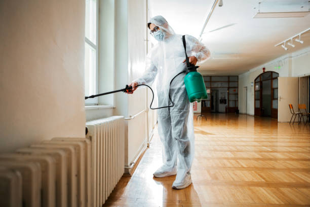 Best Termite Control Services  in Henning, TN
