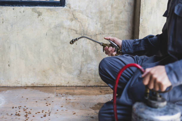 Best Pest Removal Services  in Henning, TN