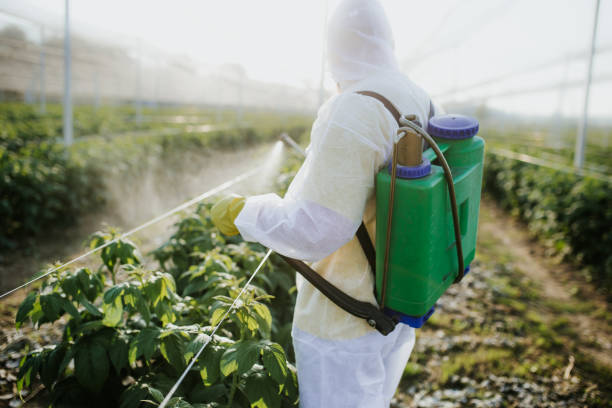 Best Residential Pest Control  in Henning, TN